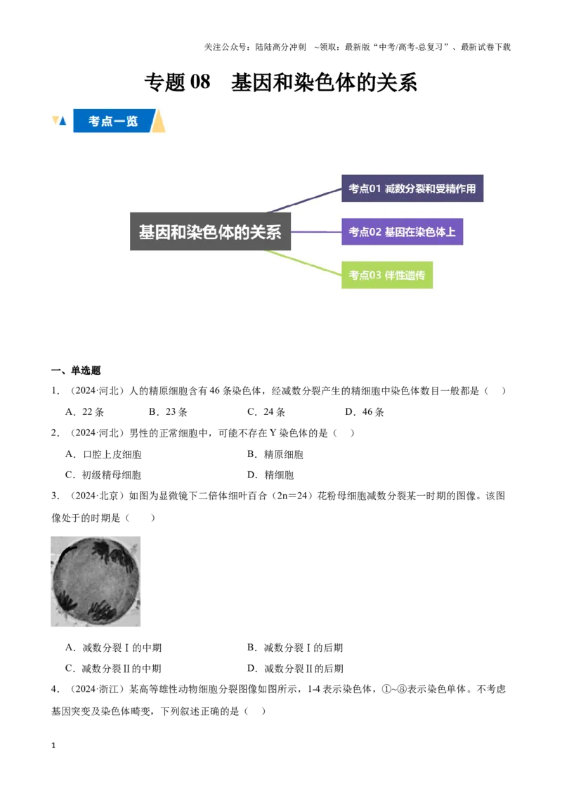 《专题08基因和染色体的关系（学生版）_06-生物-高考总复习_专项复习_2025年_2025年高中学业水平合格考生物真题分类汇编（全国通用）》第1页预览