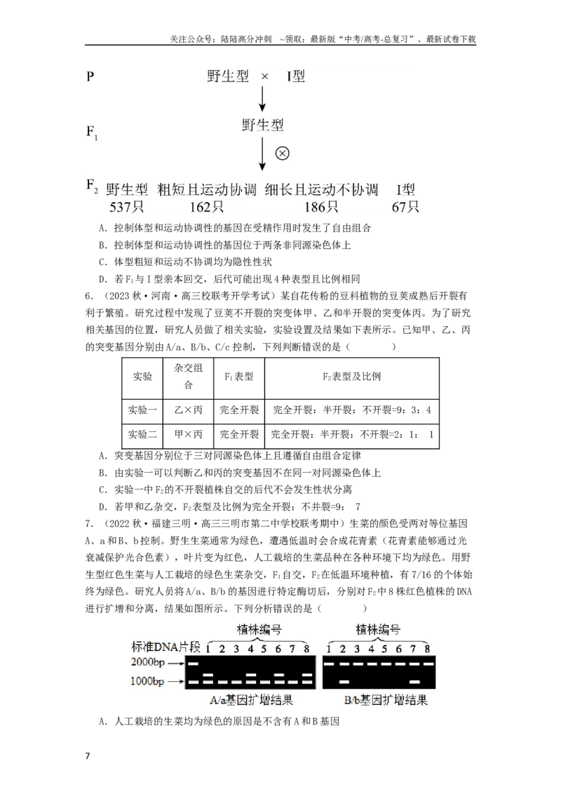 《专题12遗传规律（原卷版）_06-生物-高考总复习_一轮复习_2024年_2024年高考生物一轮复习抢分特训真题回顾检测试卷_资料》第7页预览