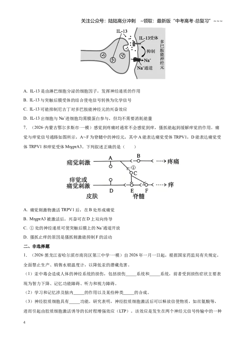 《专题07动物生命活动调节（学生版）_06-生物-高考总复习_专项复习_2026年-生物高考专项复习_2026年高考生物一模试题分类汇编（黑吉辽蒙专用）-G238_2026版》第4页预览
