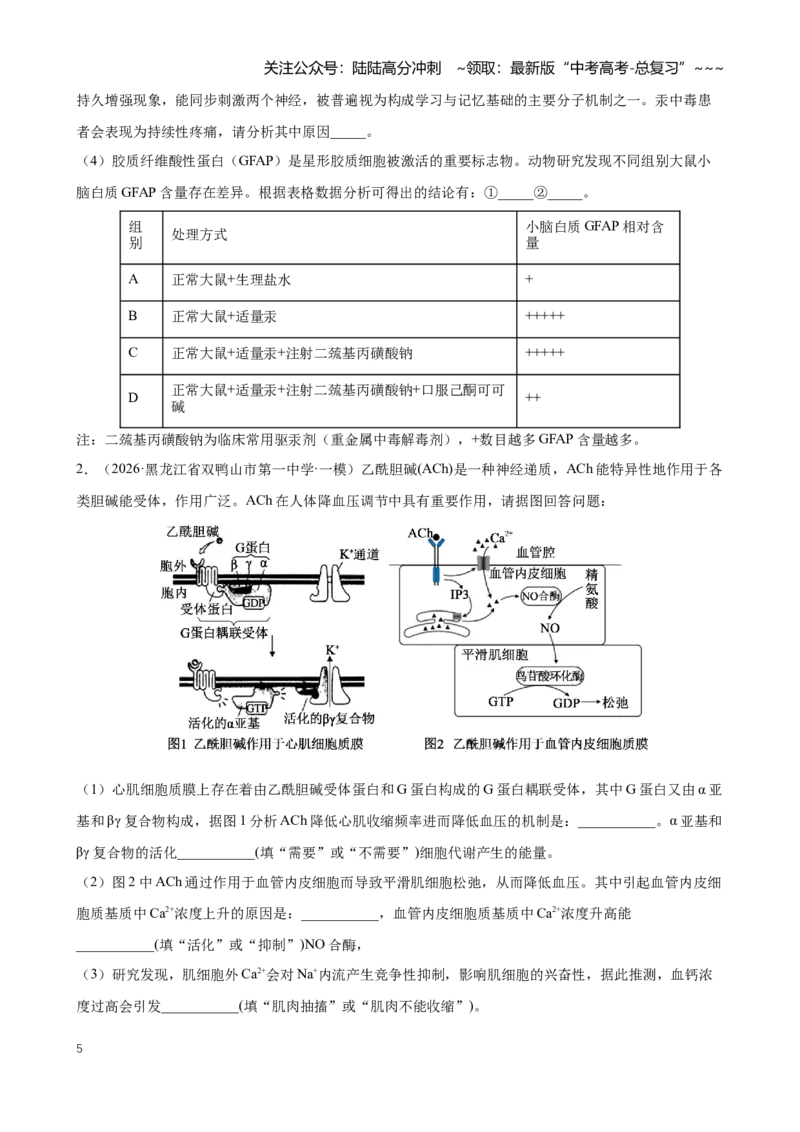 《专题07动物生命活动调节（学生版）_06-生物-高考总复习_专项复习_2026年-生物高考专项复习_2026年高考生物一模试题分类汇编（黑吉辽蒙专用）-G238_2026版》第5页预览