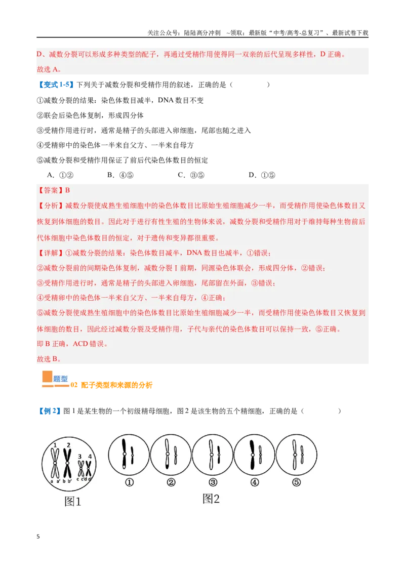 《专题08减数分裂和受精作用（5大题型）（教师版）_06-生物-高考总复习_一轮复习_2025年_2025年高考生物一轮复习题型全覆盖练习（新高考通用）》第5页预览