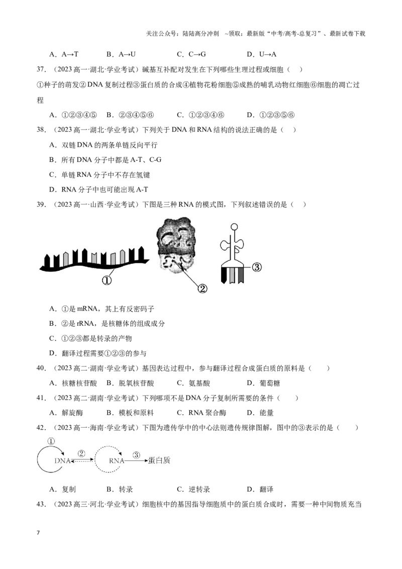 《专题10基因的表达（学生版）_06-生物-高考总复习_专项复习_2025年_2025年高中学业水平合格考生物真题分类汇编（全国通用）》第7页预览