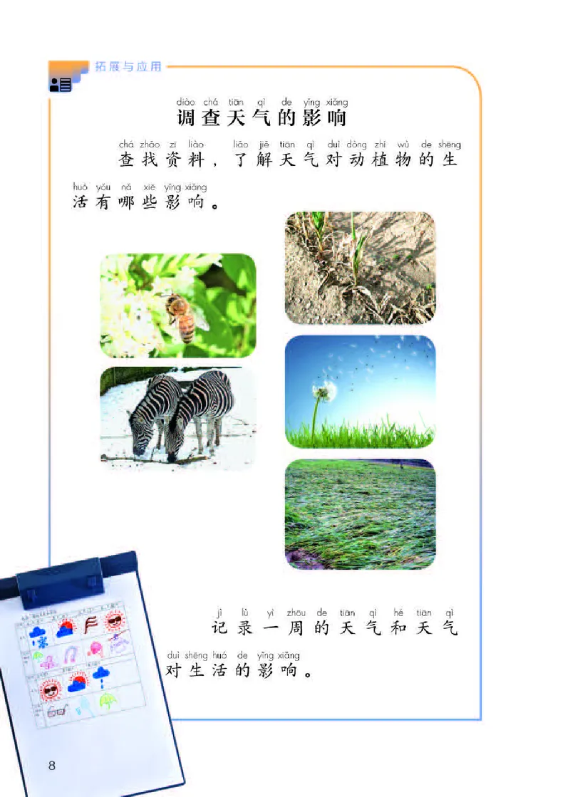 《义务教育教科书科学二年级下册_小学1-6年级全科全套_2025更新专题（含教材）_寒假预复习必备资料2024新版小学教材电子版_小学科学_人教版（无水印）》第10页预览