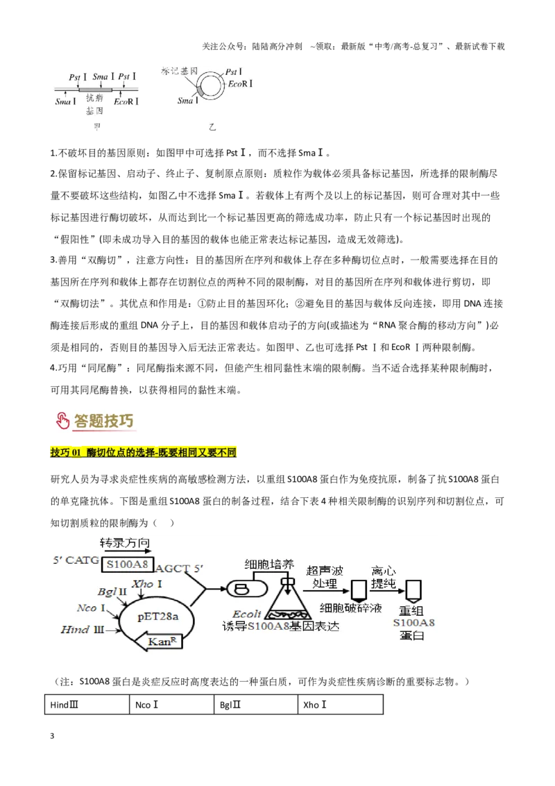 《专题10生物技术工程（学生版）_06-生物-高考总复习_专项复习_2025年_2025年高考生物答题技巧与答题模板（全国通用）》第3页预览