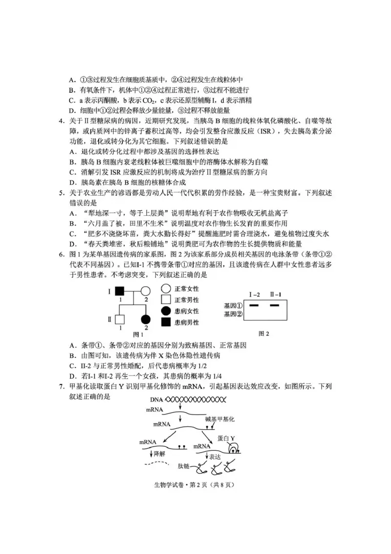 《云南师大附中2026届高考备考练习题生物_2024-2027高三（6-6月题库）_2026年05月高三试卷_260517云南师大附中2026届高考备考练习题（全科）》第2页预览