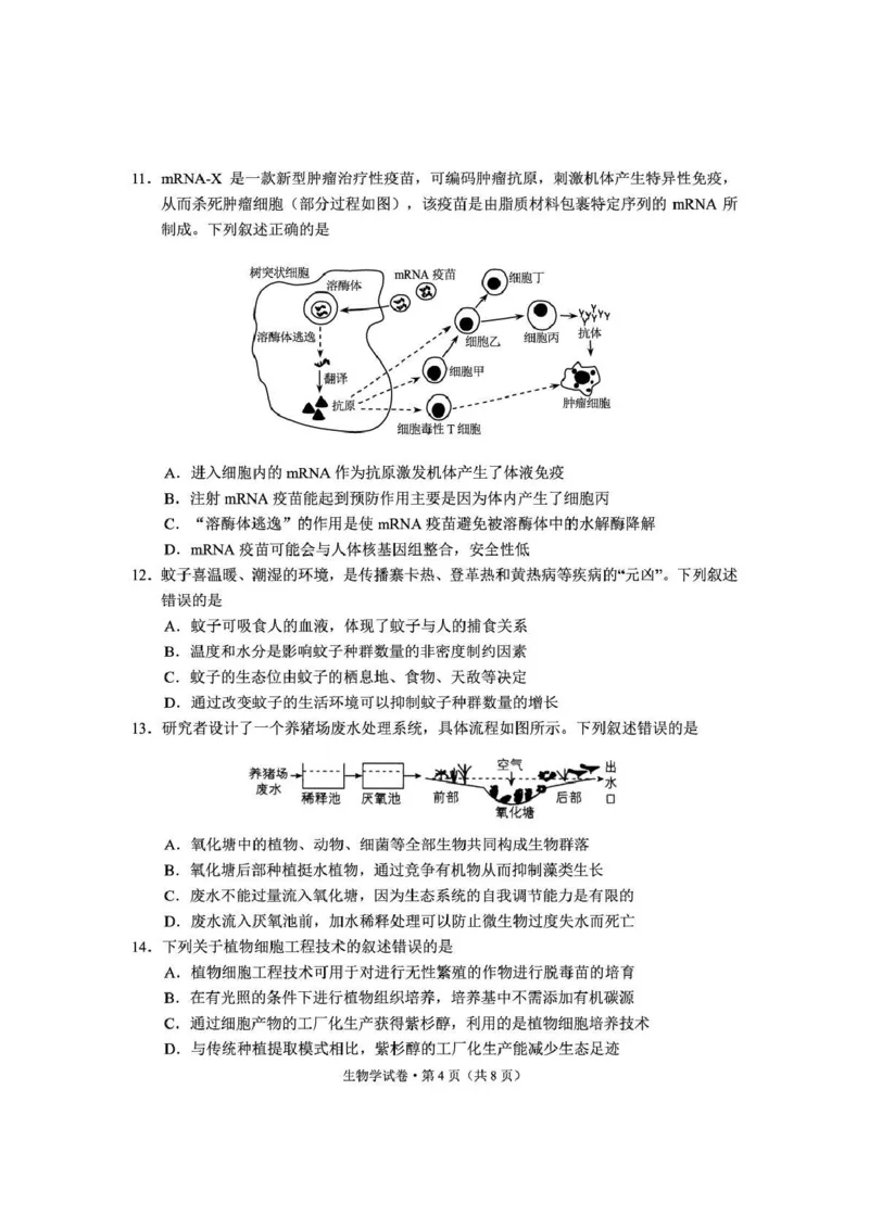 《云南师大附中2026届高考备考练习题生物_2024-2027高三（6-6月题库）_2026年05月高三试卷_260517云南师大附中2026届高考备考练习题（全科）》第4页预览