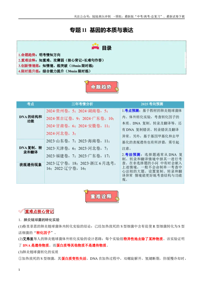 《专题11基因的本质与表达（解析版）_06-生物-高考总复习_专项复习_2025年_2025年高考生物重难点讲义专练（新高考通用）》第1页预览