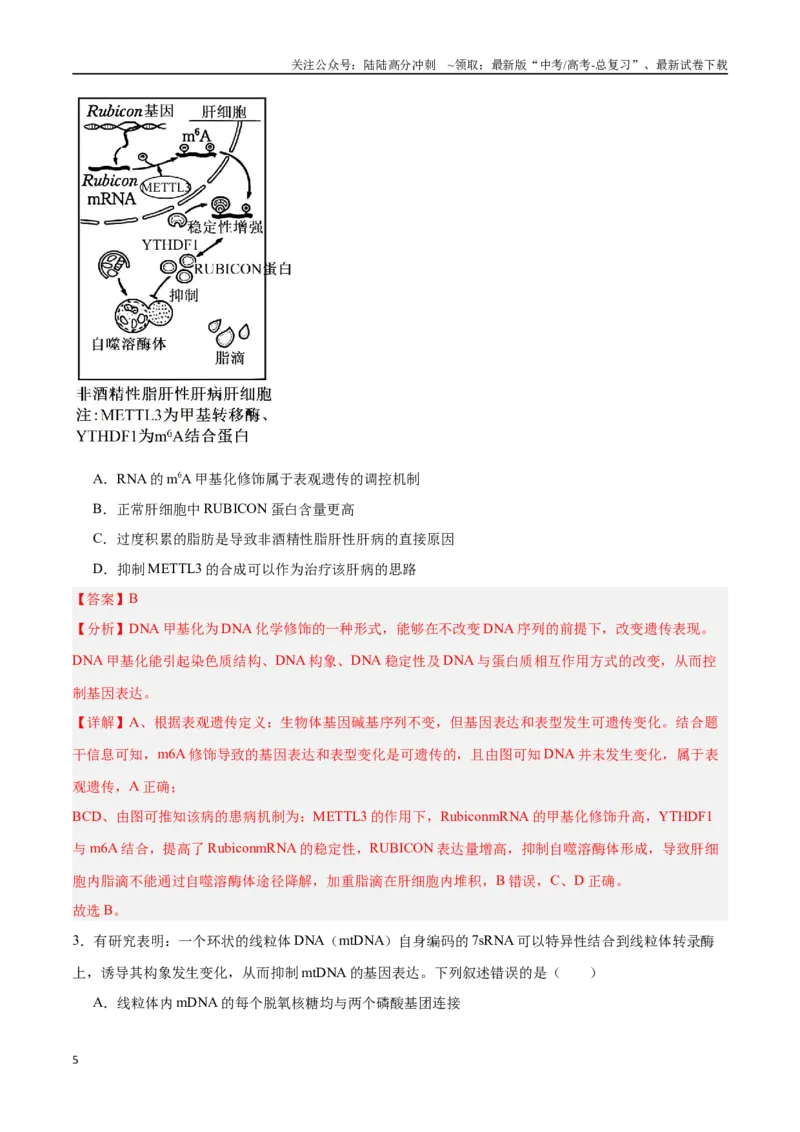 《专题11基因的本质与表达（解析版）_06-生物-高考总复习_专项复习_2025年_2025年高考生物重难点讲义专练（新高考通用）》第5页预览
