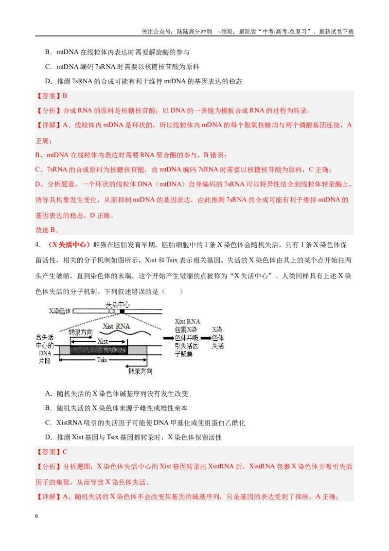 《专题11基因的本质与表达（解析版）_06-生物-高考总复习_专项复习_2025年_2025年高考生物重难点讲义专练（新高考通用）》第6页预览