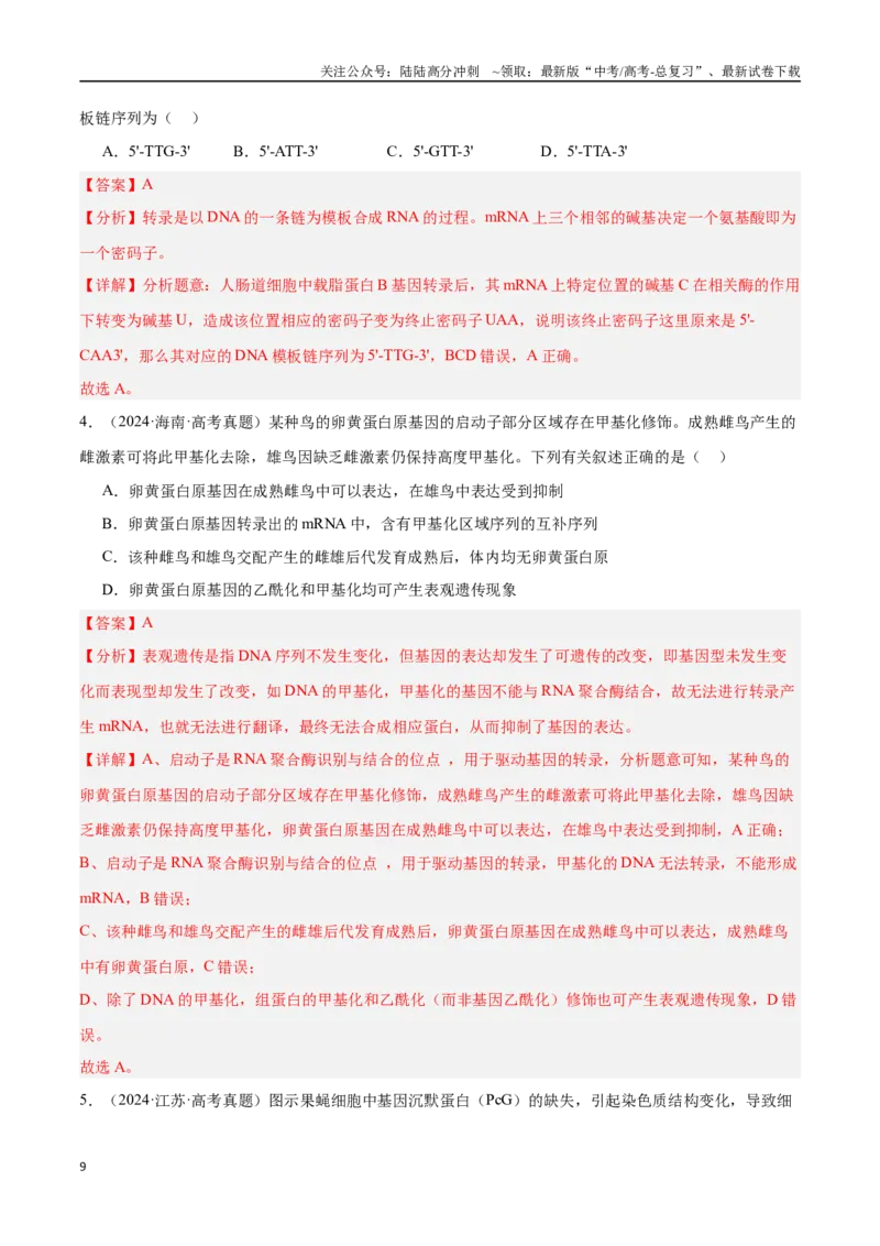 《专题11基因的本质与表达（解析版）_06-生物-高考总复习_专项复习_2025年_2025年高考生物重难点讲义专练（新高考通用）》第9页预览