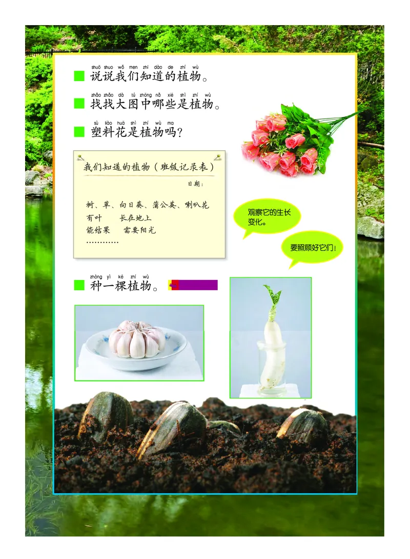 《义务教育教科书-科学-一年级上册_小学1-6年级全科全套_2025更新专题（含教材）_寒假预复习必备资料2024新版小学教材电子版_小学科学_教科版（无水印）》第8页预览