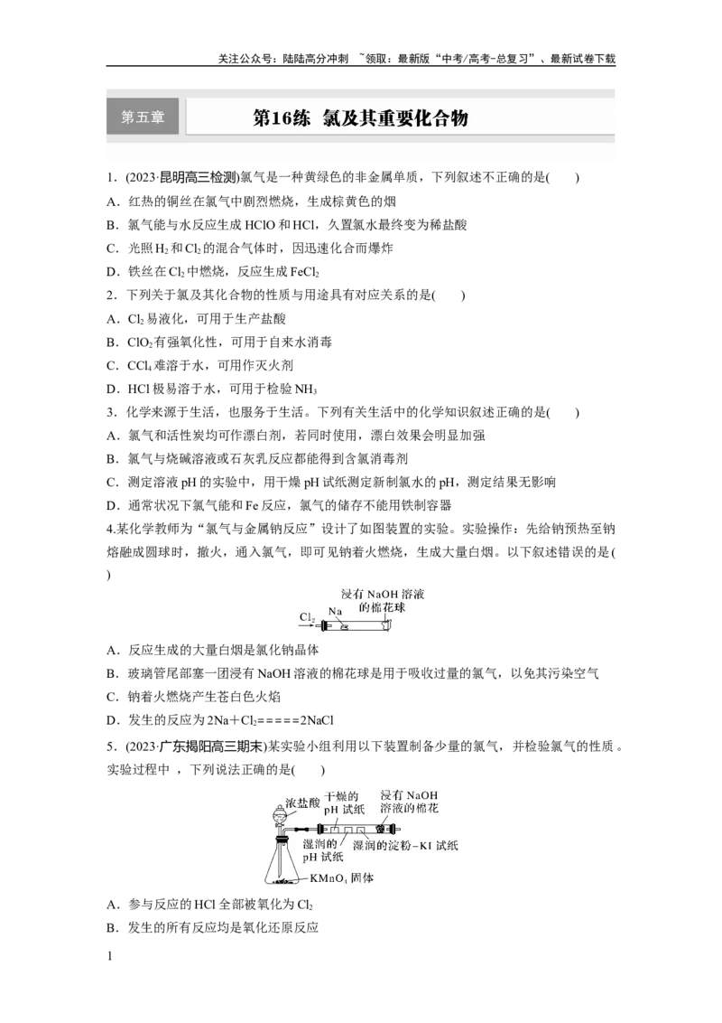 《第五章　第16练　氯及其重要化合物_05-化学-高考总复习_一轮复习_2025年_2025年大一轮复习讲义人教版化学_资料_1-资料_大一轮复习讲义学生专用_一轮复习74练》第1页预览