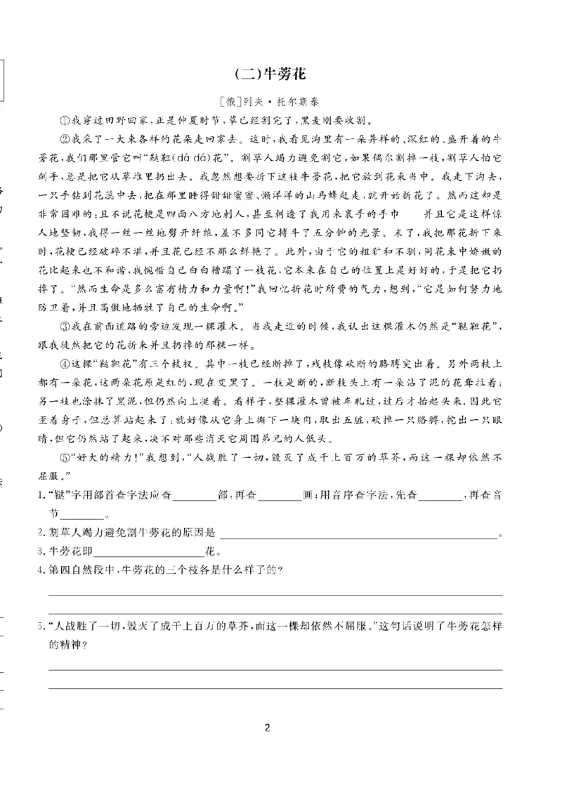《五（上）语文阅读与写作《核心素养阅读周周清》_小学1-6年级全科全套_1-6年级全科上册_五年级_五年级上语文_语文五上阅读理解专项》第6页预览