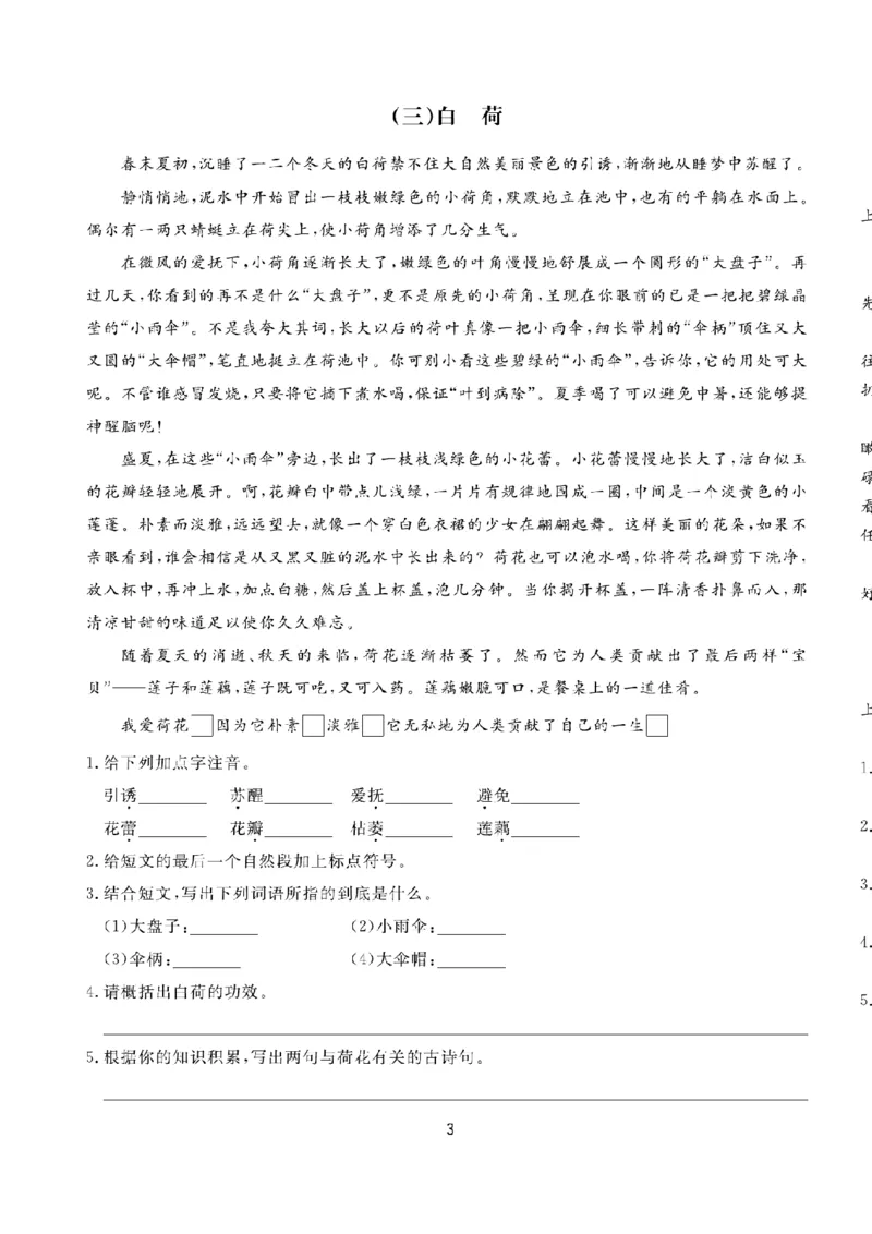 《五（上）语文阅读与写作《核心素养阅读周周清》_小学1-6年级全科全套_1-6年级全科上册_五年级_五年级上语文_语文五上阅读理解专项》第7页预览