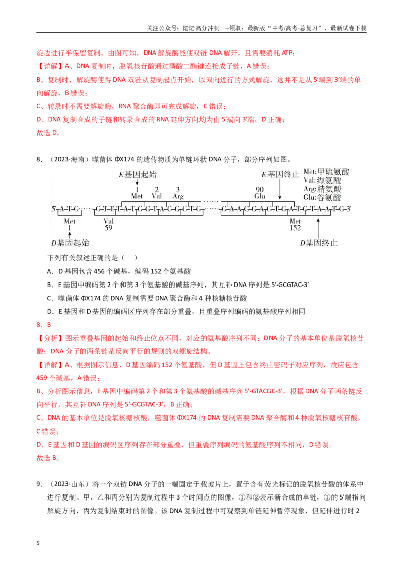 《专题07基因的分子基础（解析版）_06-生物-高考总复习_专项复习_2025年_五年2020-2024高考真题分类汇编生物真题分类汇编（全国通用）》第5页预览