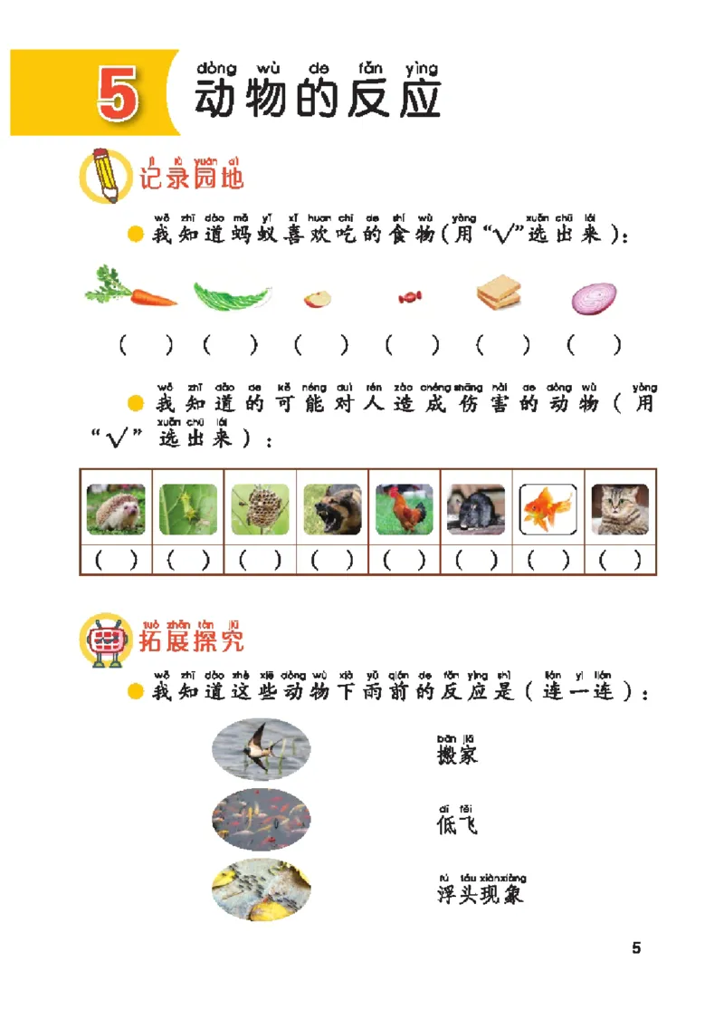 《五制一下手册_小学1-6年级全科全套_2025更新专题（含教材）_寒假预复习必备资料2024新版小学教材电子版_小学科学_青岛版（无水印）_五制_活动手册》第10页预览