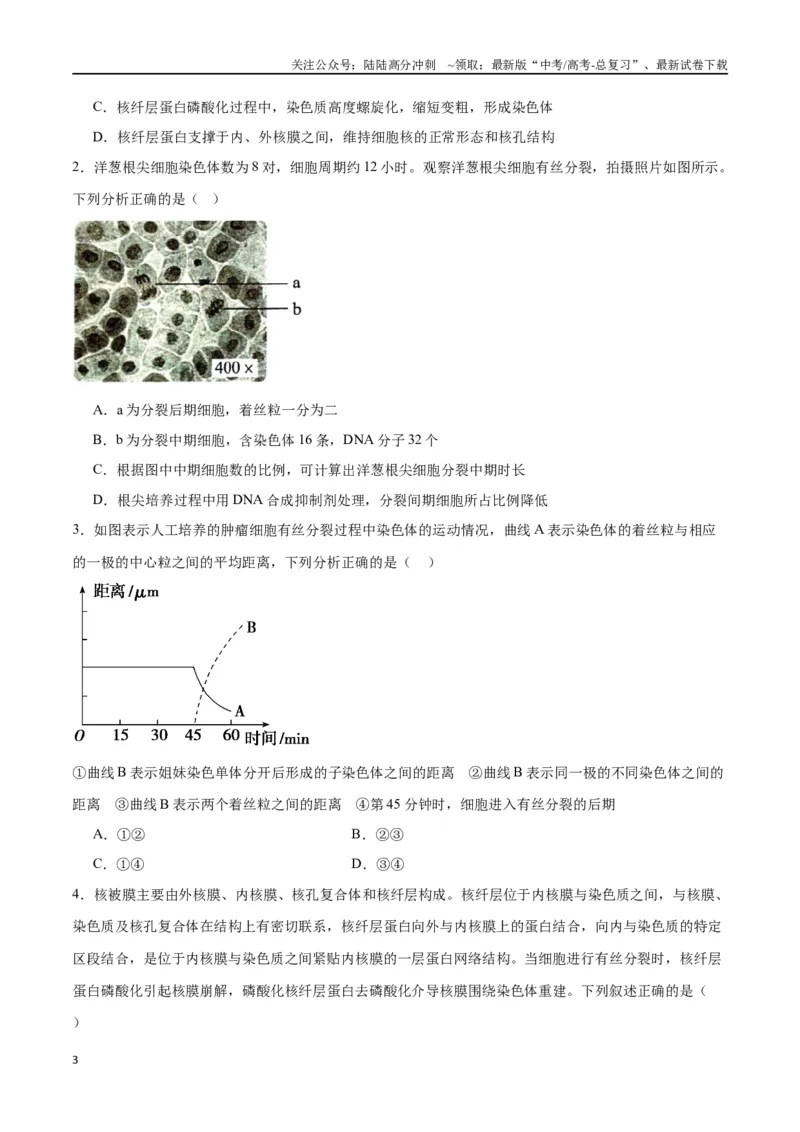 《专题12细胞增殖（原卷版)_06-生物-高考总复习_一轮复习_2024年_2024年高考生物一轮复习重难点专项突破_资料》第3页预览