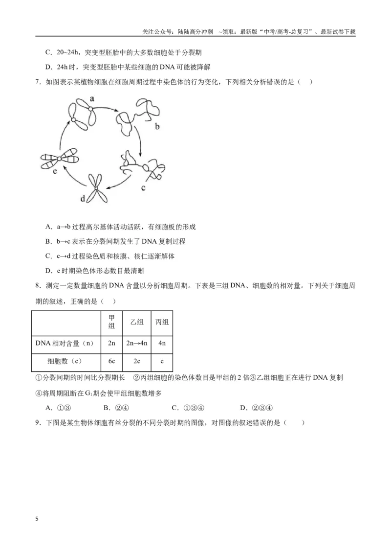 《专题12细胞增殖（原卷版)_06-生物-高考总复习_一轮复习_2024年_2024年高考生物一轮复习重难点专项突破_资料》第5页预览