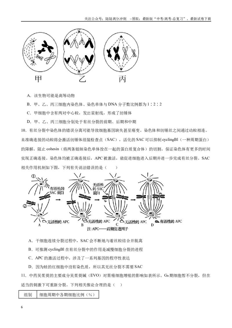 《专题12细胞增殖（原卷版)_06-生物-高考总复习_一轮复习_2024年_2024年高考生物一轮复习重难点专项突破_资料》第6页预览