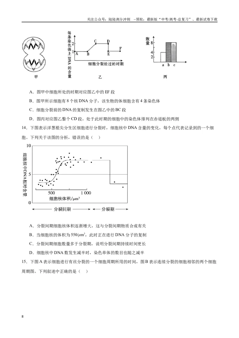 《专题12细胞增殖（原卷版)_06-生物-高考总复习_一轮复习_2024年_2024年高考生物一轮复习重难点专项突破_资料》第8页预览