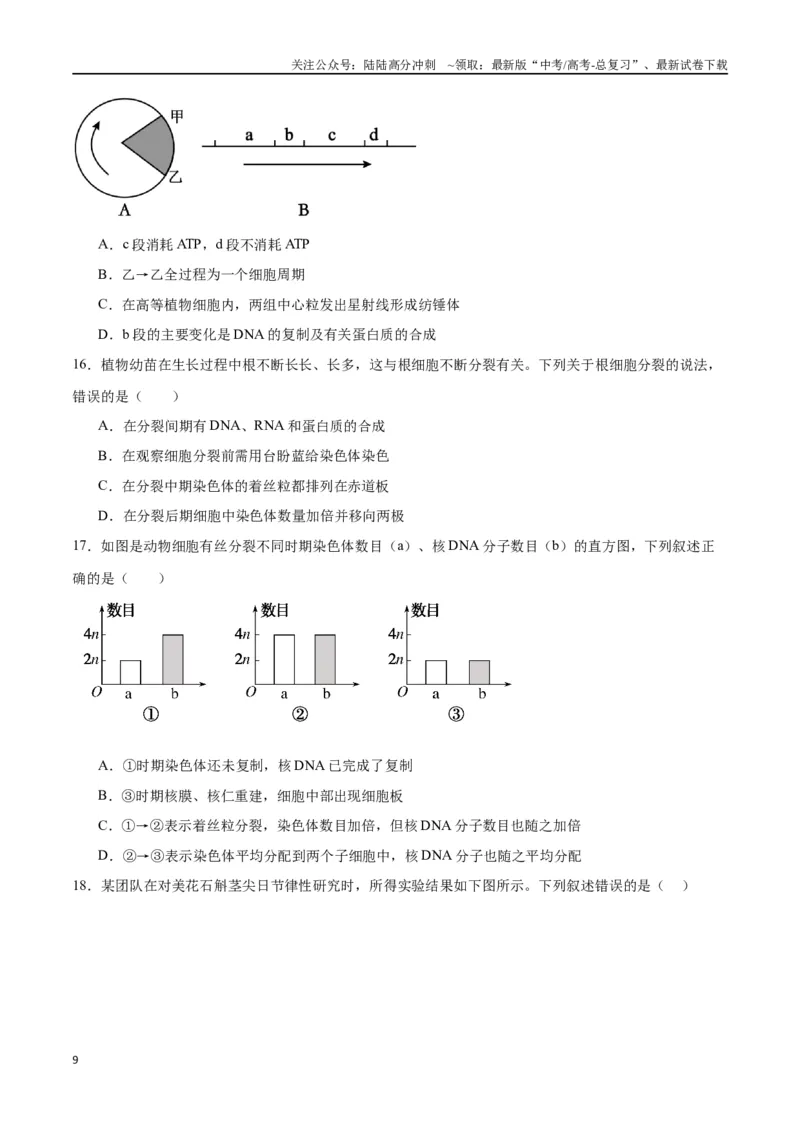 《专题12细胞增殖（原卷版)_06-生物-高考总复习_一轮复习_2024年_2024年高考生物一轮复习重难点专项突破_资料》第9页预览
