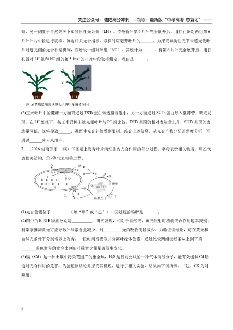 《专题09实验与探究（2大考点）（学生版）_06-生物-高考总复习_专项复习_2026年-生物高考专项复习_2026年高考生物一模试题分类汇编（湖南专用）-G236_2026版》第3页预览