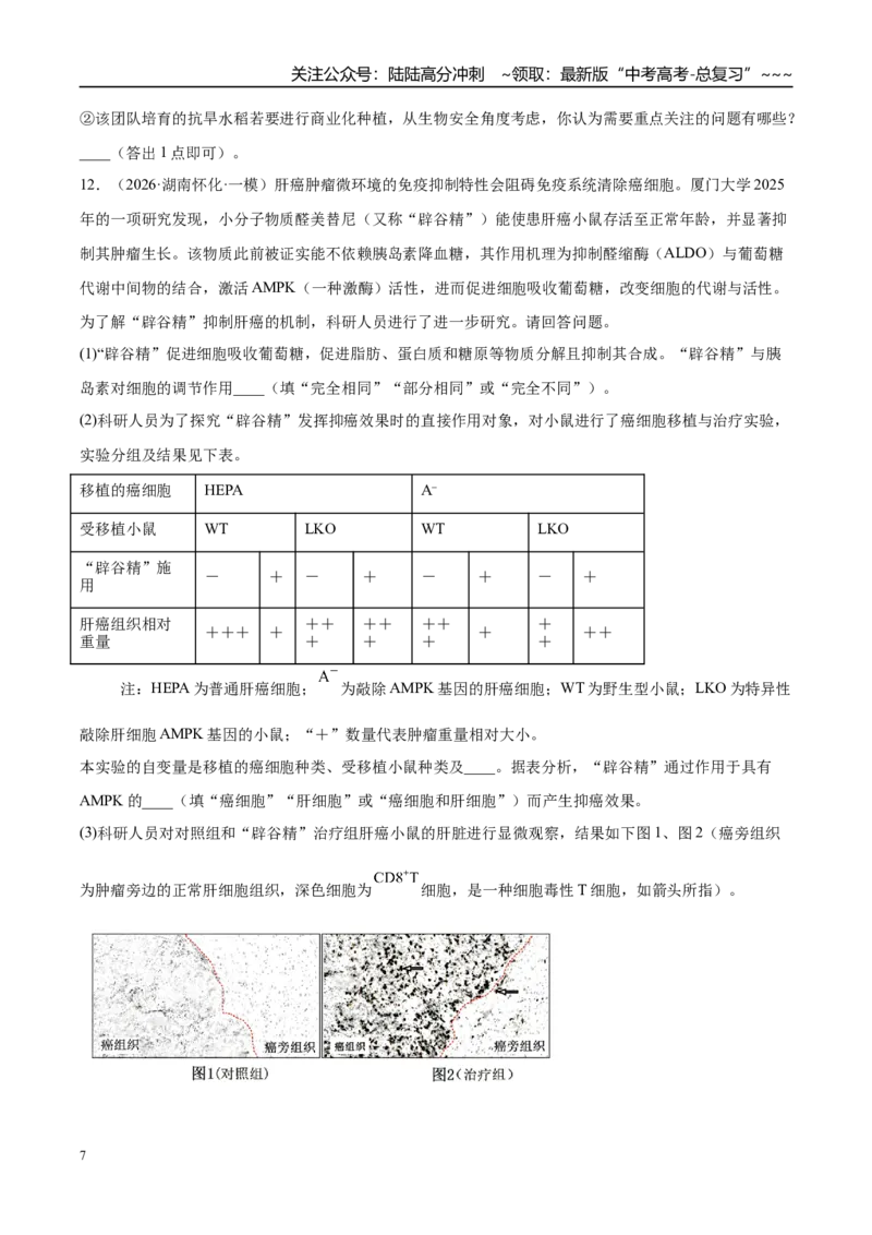 《专题09实验与探究（2大考点）（学生版）_06-生物-高考总复习_专项复习_2026年-生物高考专项复习_2026年高考生物一模试题分类汇编（湖南专用）-G236_2026版》第7页预览