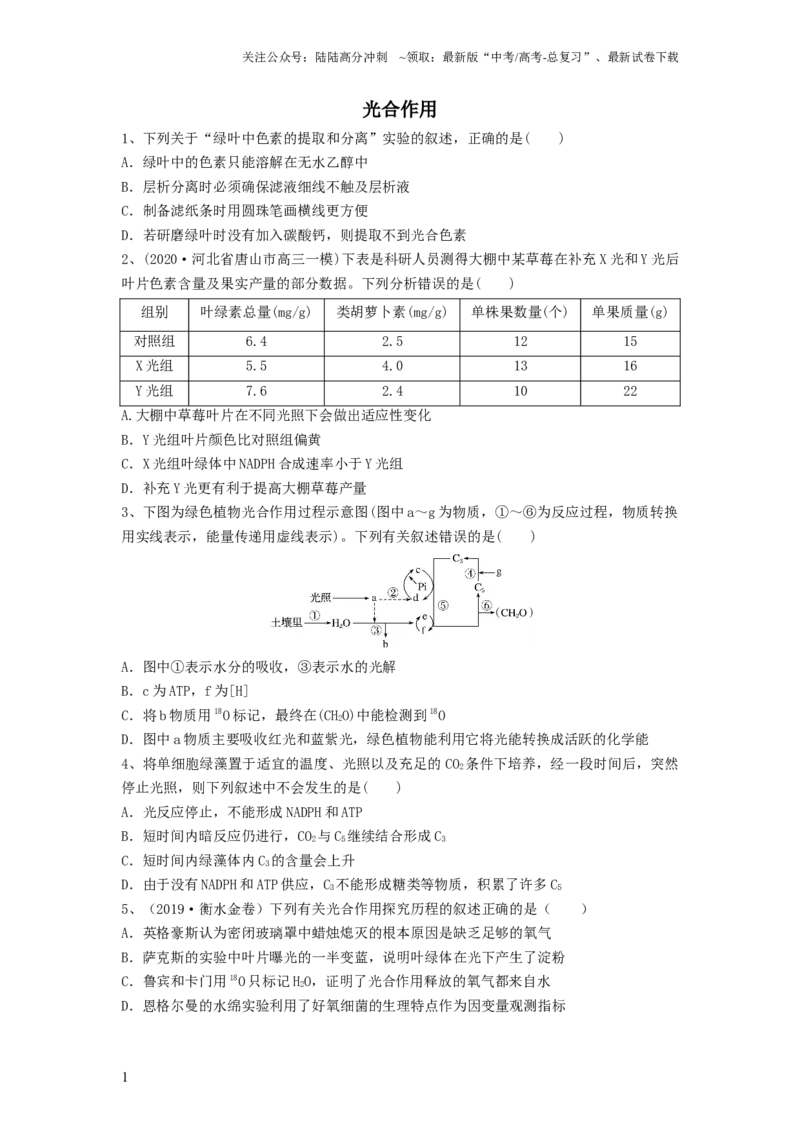 《专题09光合作用（精练）（原卷版）_06-生物-高考总复习_一轮复习_2024年_2024年高考生物一轮复习串讲精练知识点梳理练习题_精练》第1页预览