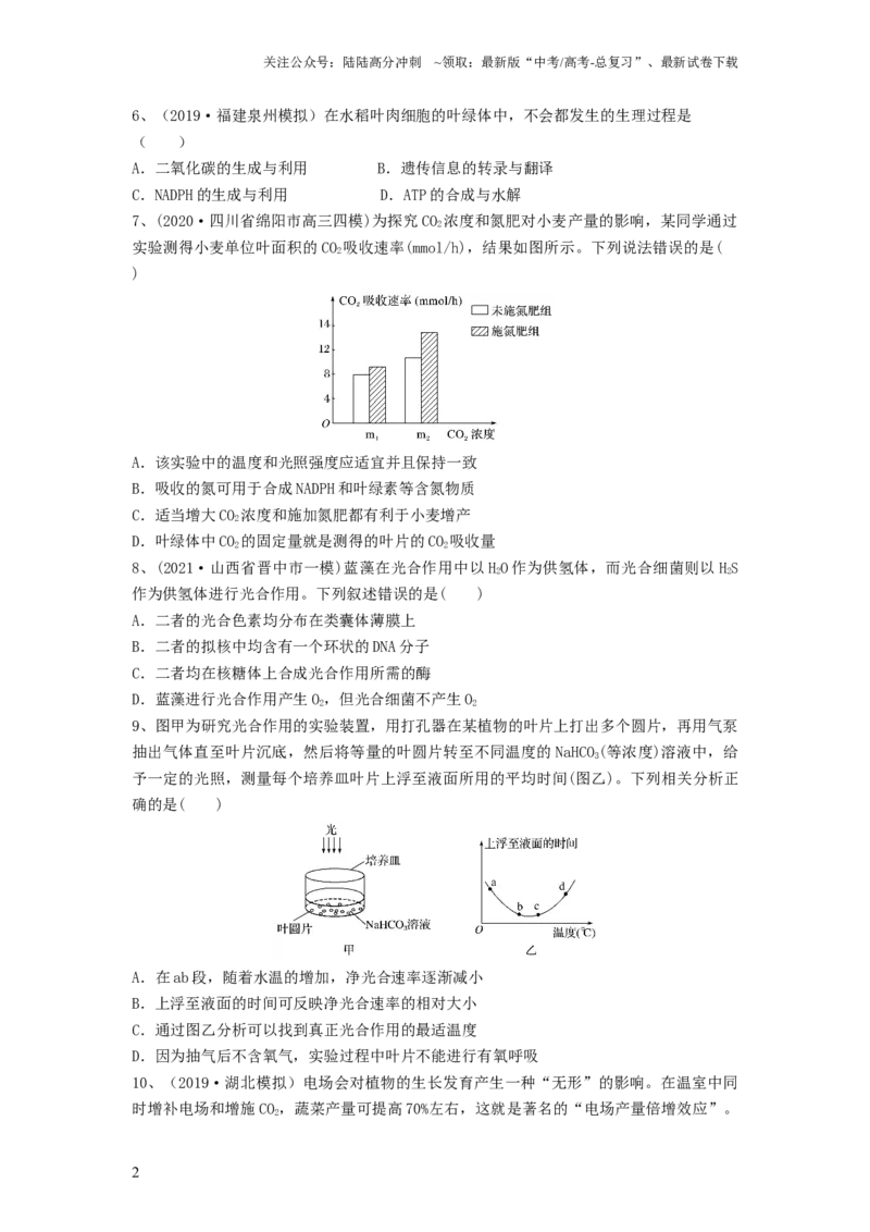 《专题09光合作用（精练）（原卷版）_06-生物-高考总复习_一轮复习_2024年_2024年高考生物一轮复习串讲精练知识点梳理练习题_精练》第2页预览