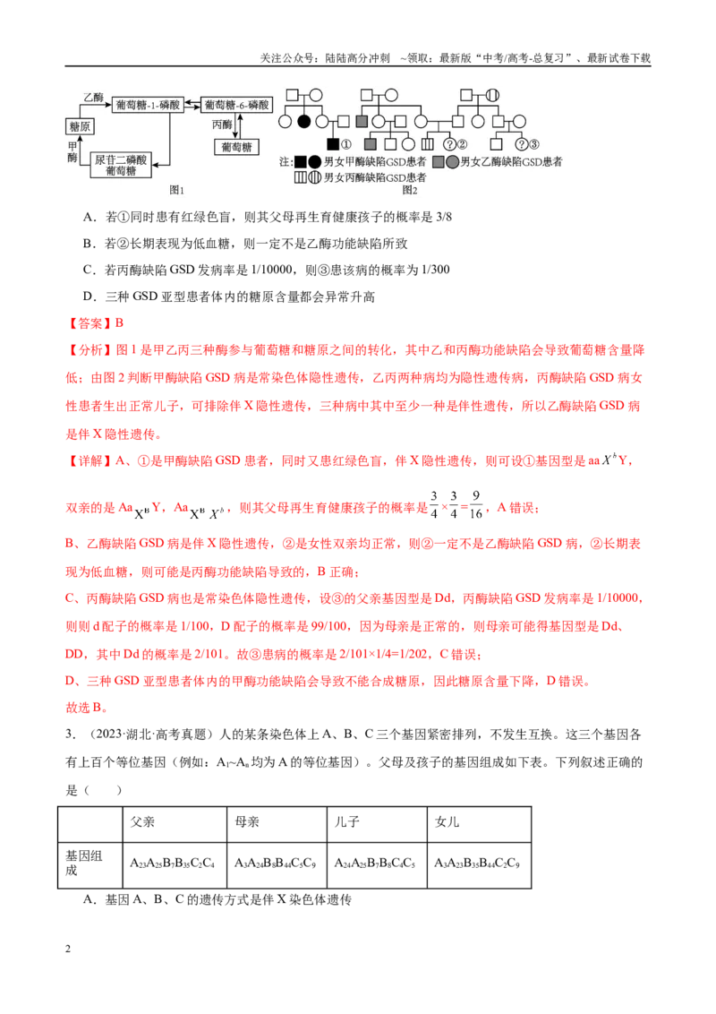 《专题11伴性遗传和人类遗传病（教师版）_06-生物-高考总复习_一轮复习_2025年_2025年高考生物一轮复习考点精讲精练（新高考通用）》第2页预览