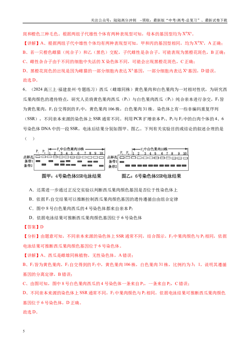 《专题11伴性遗传和人类遗传病（教师版）_06-生物-高考总复习_一轮复习_2025年_2025年高考生物一轮复习考点精讲精练（新高考通用）》第5页预览