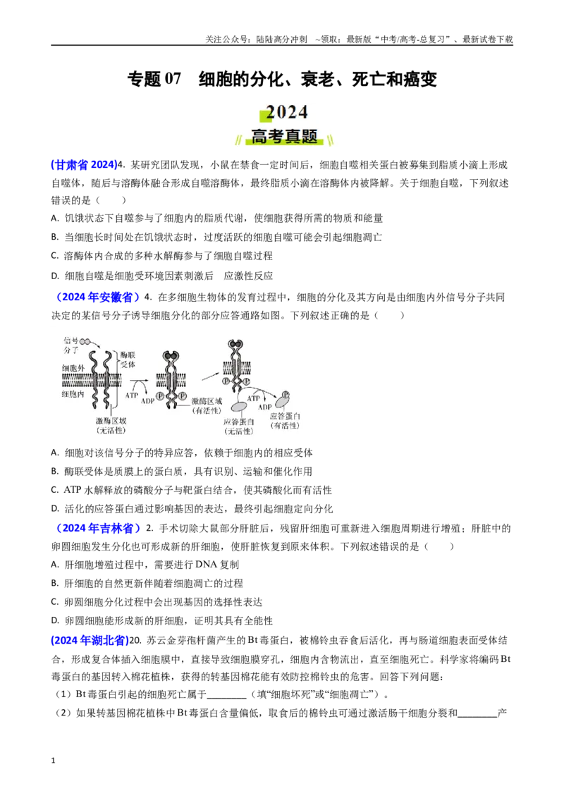 《专题07细胞的分化、衰老、死亡和癌变-(原卷版）_06-生物-高考总复习_专项复习_2024年_2024年高考真题和模拟题分项汇编生物分类汇编（全国通用）》第1页预览