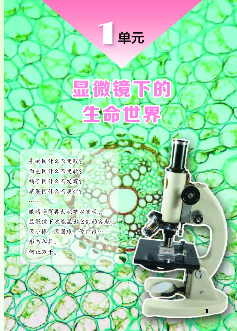 《[D]苏教版科学五下压缩_小学1-6年级全科全套_2025更新专题（含教材）_寒假预复习必备资料2024新版小学教材电子版_小学科学_苏教版（无水印）》第6页预览
