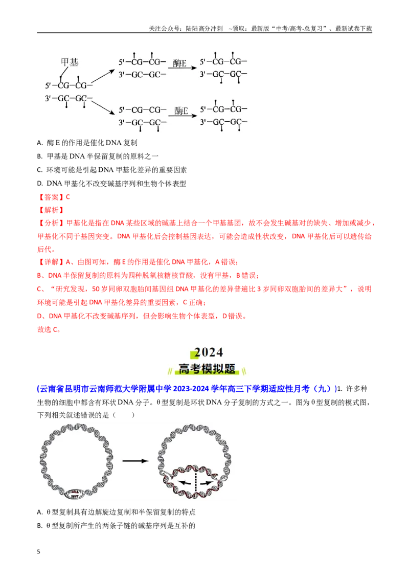 《专题09遗传的分子基础-（教师版）_06-生物-高考总复习_专项复习_2025年_2025年高考真题和模拟题生物分类汇编（全国通用）》第5页预览