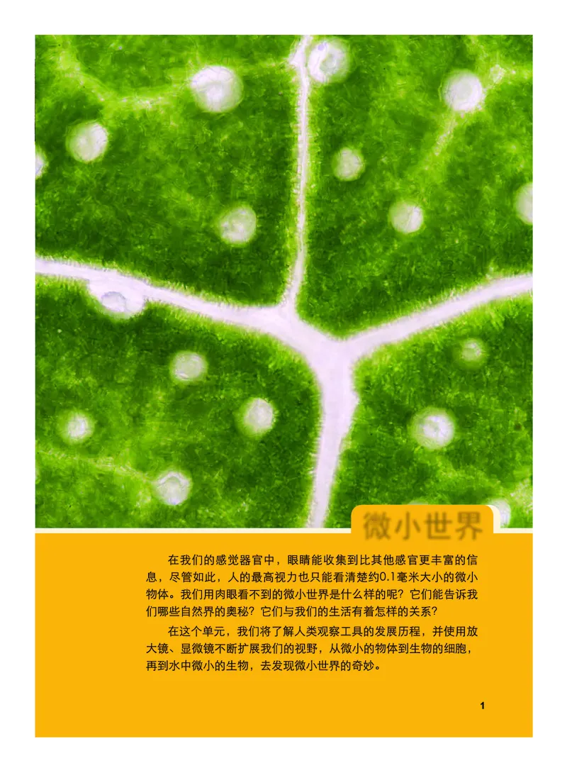 《义务教育教科书-科学-六年级上册_小学1-6年级全科全套_2025更新专题（含教材）_寒假预复习必备资料2024新版小学教材电子版_小学科学_教科版（无水印）》第6页预览