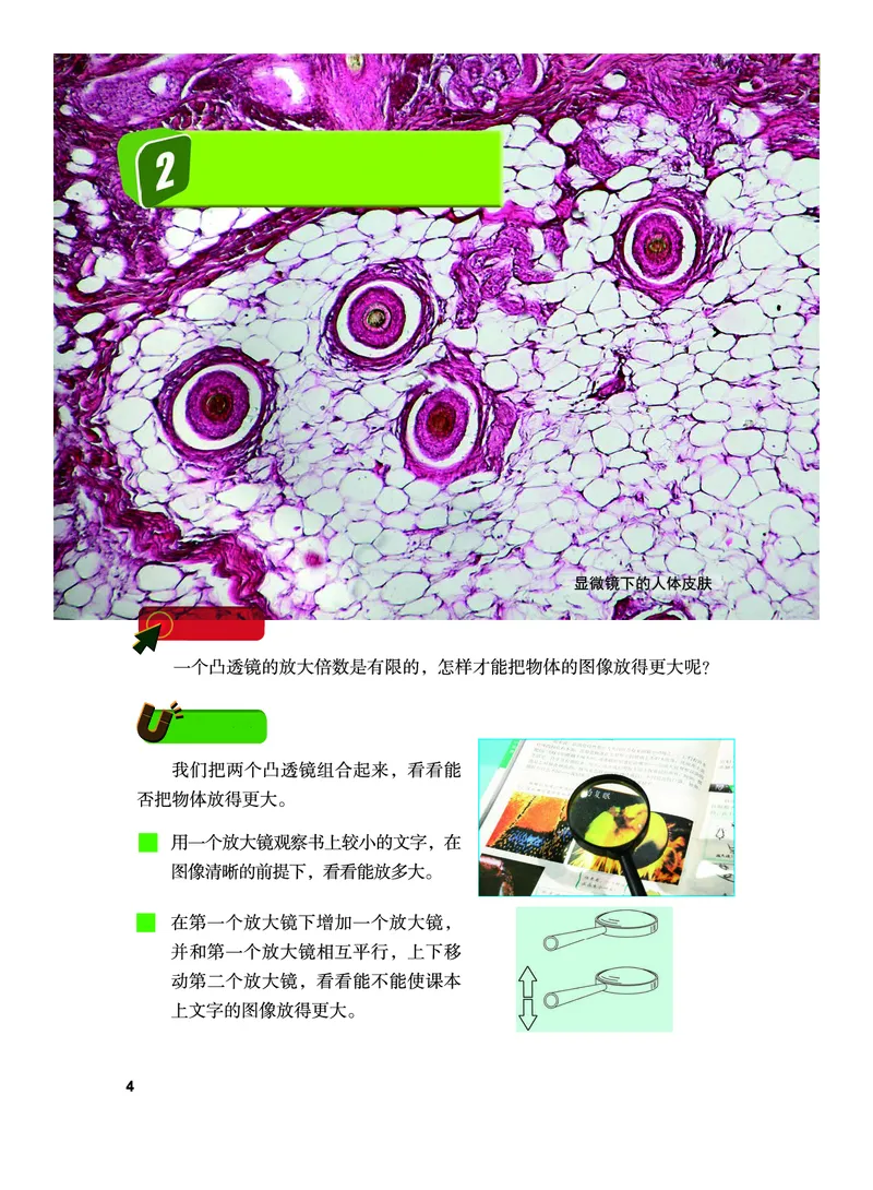 《义务教育教科书-科学-六年级上册_小学1-6年级全科全套_2025更新专题（含教材）_寒假预复习必备资料2024新版小学教材电子版_小学科学_教科版（无水印）》第9页预览