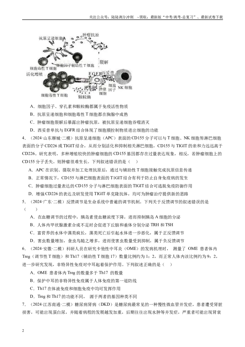 《专题08人体内环境稳态与免疫（原卷版）_06-生物-高考总复习_专项复习_2025年_2024年高考二模试题分类汇编生物新高考通用》第2页预览