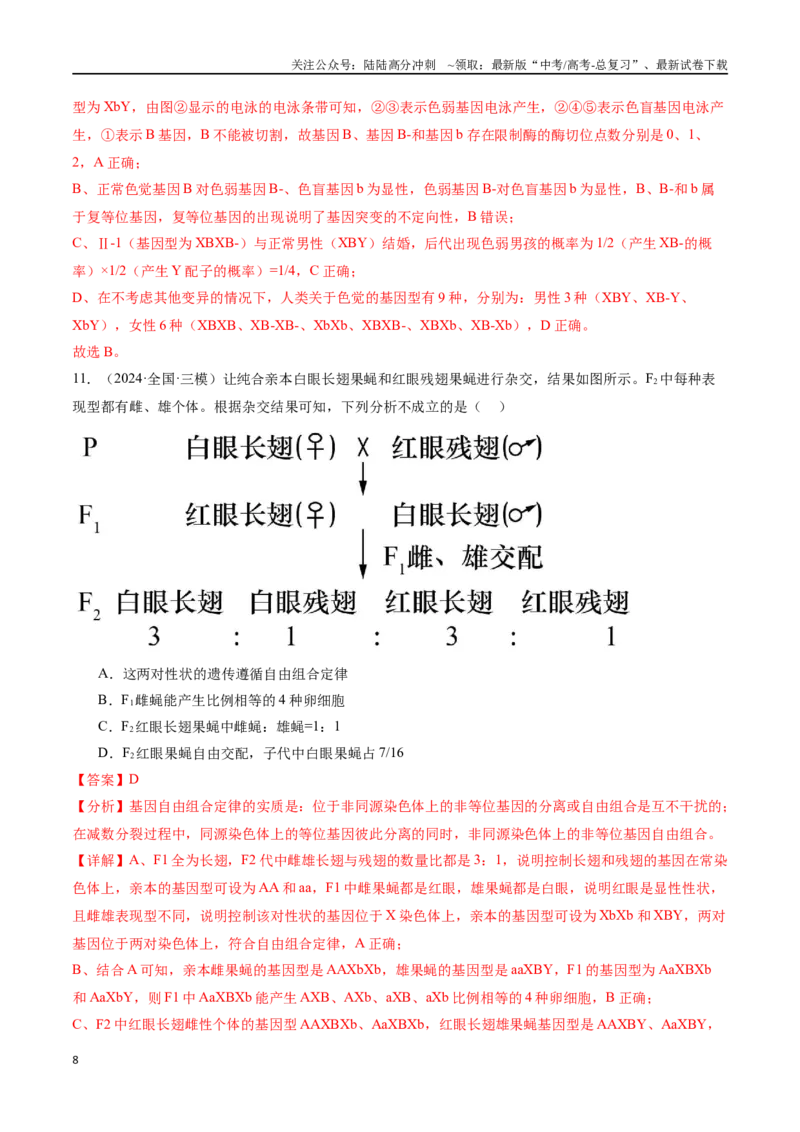 《专题06遗传的基本规律与伴性遗传（解析版）_06-生物-高考总复习_专项复习_2024年_2024年高考生物重难压轴题型考前终极押题_资料》第8页预览