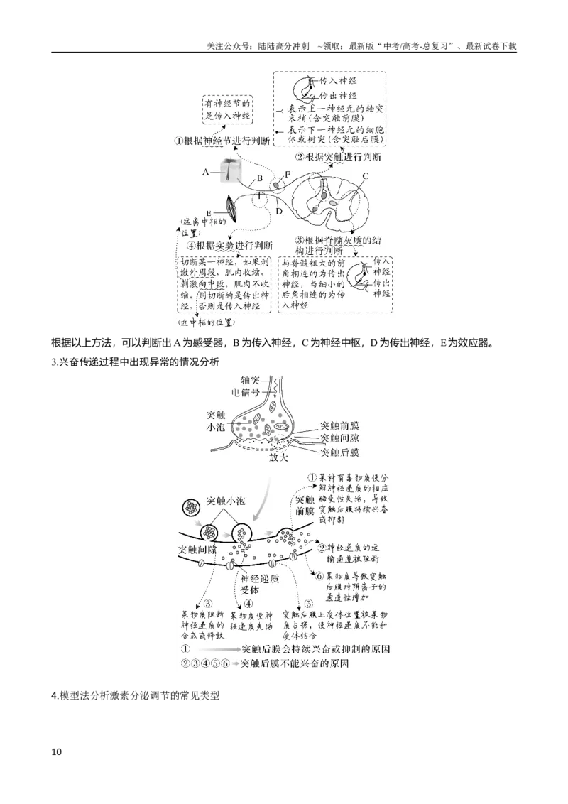 《专题07动物生命活动调节（教师版）_06-生物-高考总复习_专项复习_2024年_2024年高考生物热点·重点·难点专练（新高考专用）》第10页预览