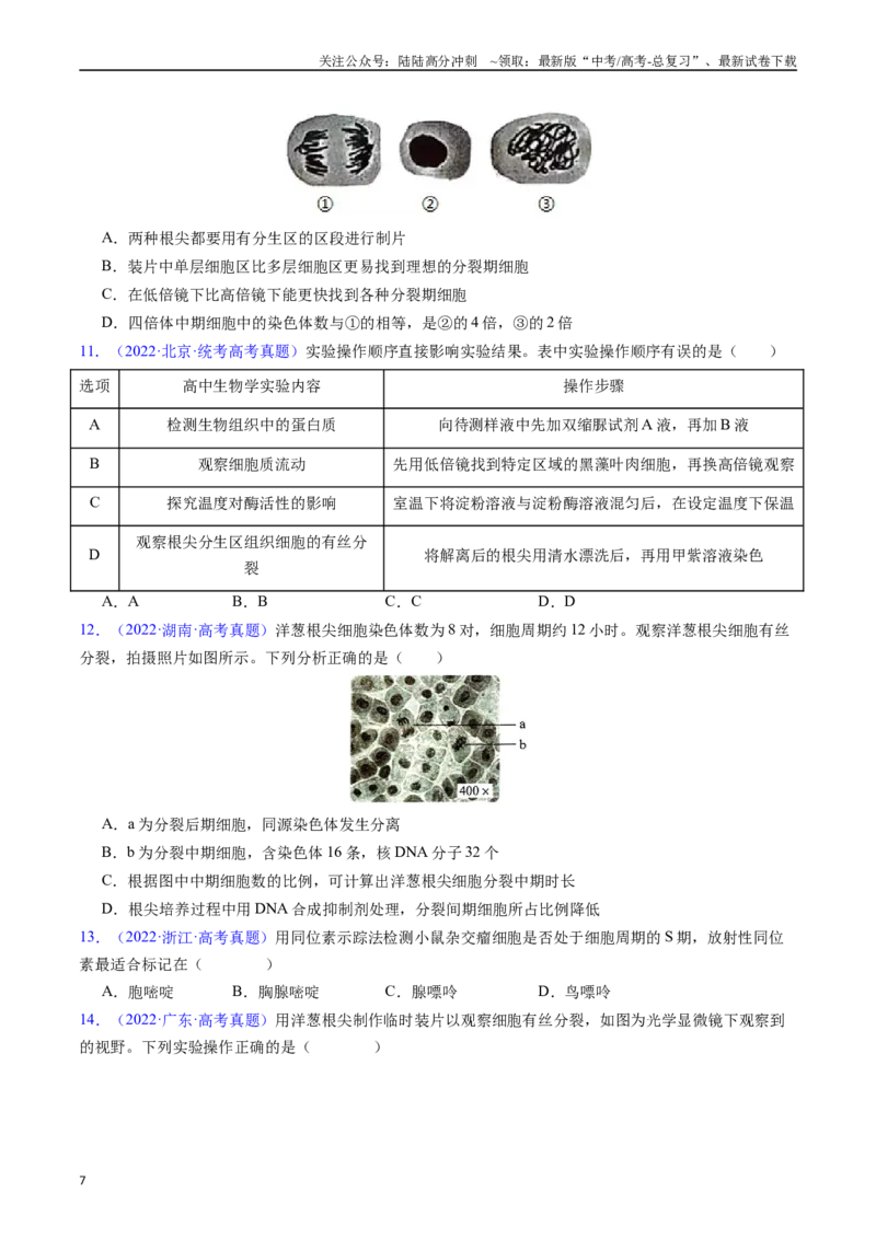 《专题08有丝分裂和减数分裂-（全国通用）（原卷版）_06-生物-高考总复习_专项复习_2025年_十年（2015-2024）高考生物真题分类汇编（全国通用）》第7页预览