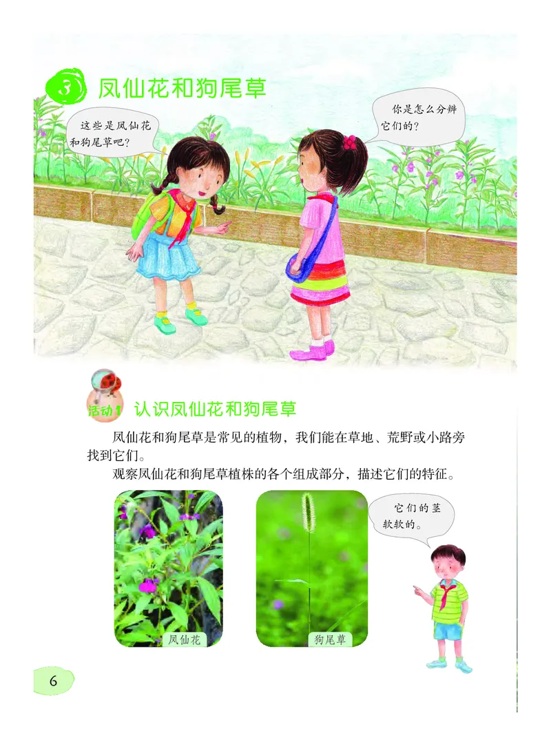 《义务教育教科书科学四年级下册_小学1-6年级全科全套_2025更新专题（含教材）_寒假预复习必备资料2024新版小学教材电子版_小学科学_粤教版（无水印）》第10页预览