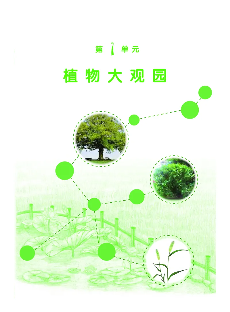 《义务教育教科书科学四年级下册_小学1-6年级全科全套_2025更新专题（含教材）_寒假预复习必备资料2024新版小学教材电子版_小学科学_粤教版（无水印）》第5页预览