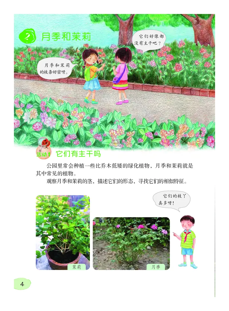 《义务教育教科书科学四年级下册_小学1-6年级全科全套_2025更新专题（含教材）_寒假预复习必备资料2024新版小学教材电子版_小学科学_粤教版（无水印）》第8页预览