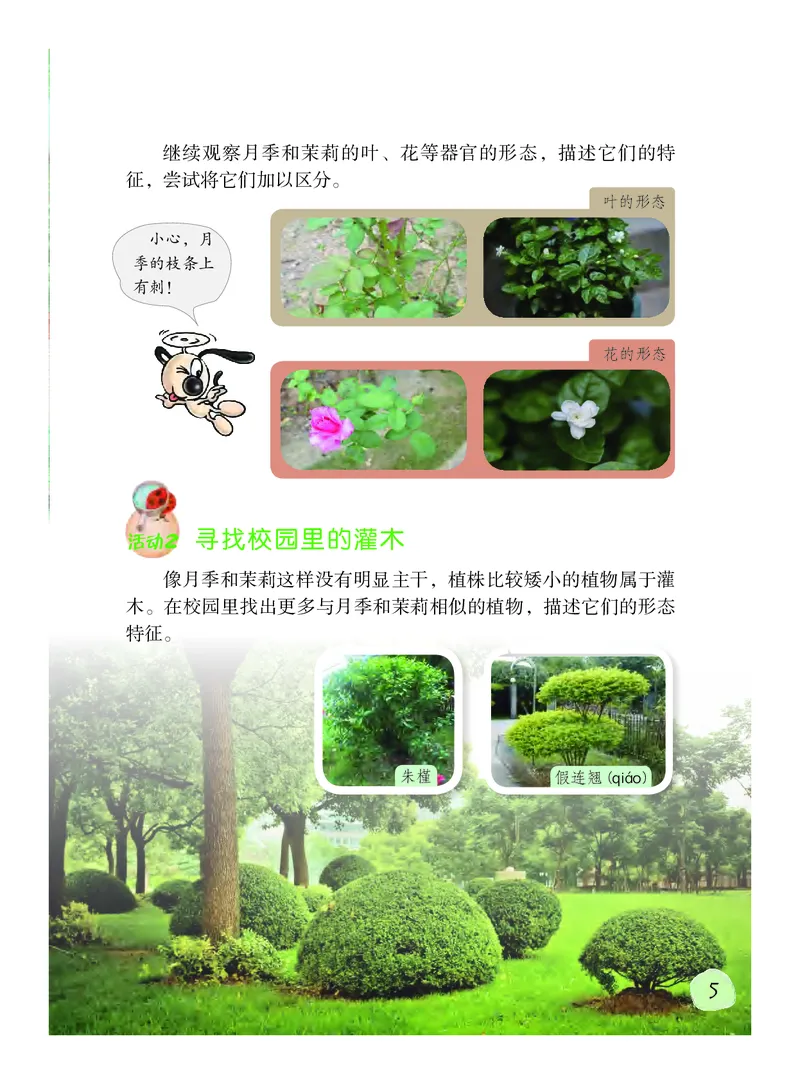 《义务教育教科书科学四年级下册_小学1-6年级全科全套_2025更新专题（含教材）_寒假预复习必备资料2024新版小学教材电子版_小学科学_粤教版（无水印）》第9页预览