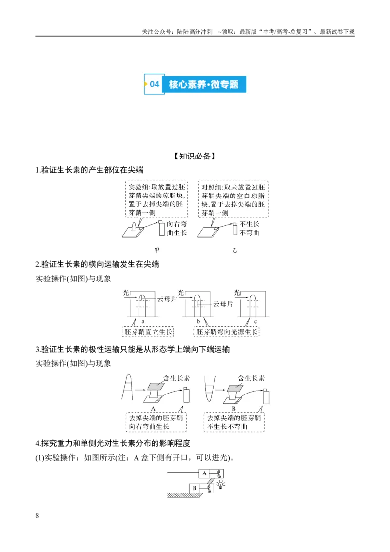 《专题08植物生命活动的调节（讲义）（原卷版）_06-生物-高考总复习_二轮复习_2024年_2024年高考生物二轮复习高频考点追踪与预测（新高考专用）_讲义》第8页预览