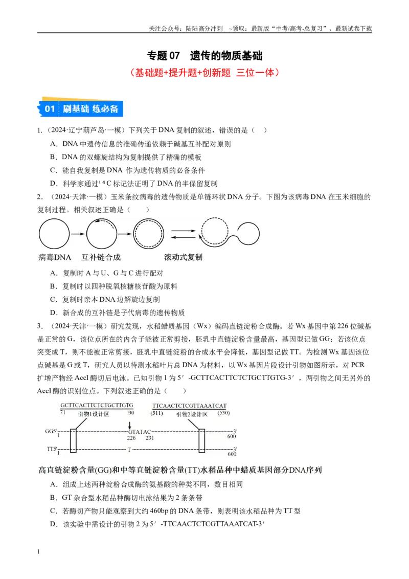 《专题07遗传的物质基础（DNA的结构、复制、转录、翻译）(原卷版）_06-生物-高考总复习_专项复习_2025年_2024年高考一模试题分类汇编生物新高考通用》第1页预览