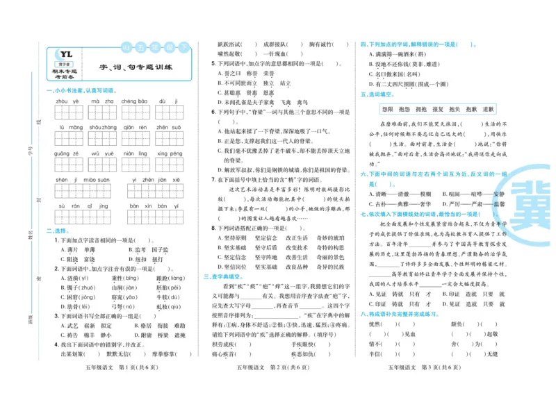 《《期末专题精选卷》统编版语文5年级下册期末专题精选卷_小学1-6年级全科全套_1-6年级全科下册_五年级_五年级下语文_语文五下电子册类》第4页预览