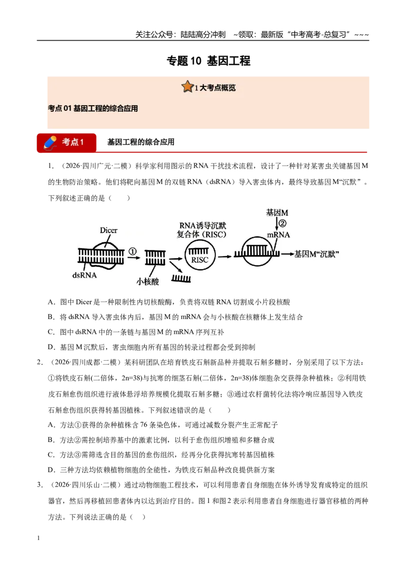 《专题10基因工程（1大考点）（学生版）_06-生物-高考总复习_专项复习_2026年-生物高考专项复习_2026年高考生物二模试题分类汇编（四川专用）-G282_2026版》第1页预览