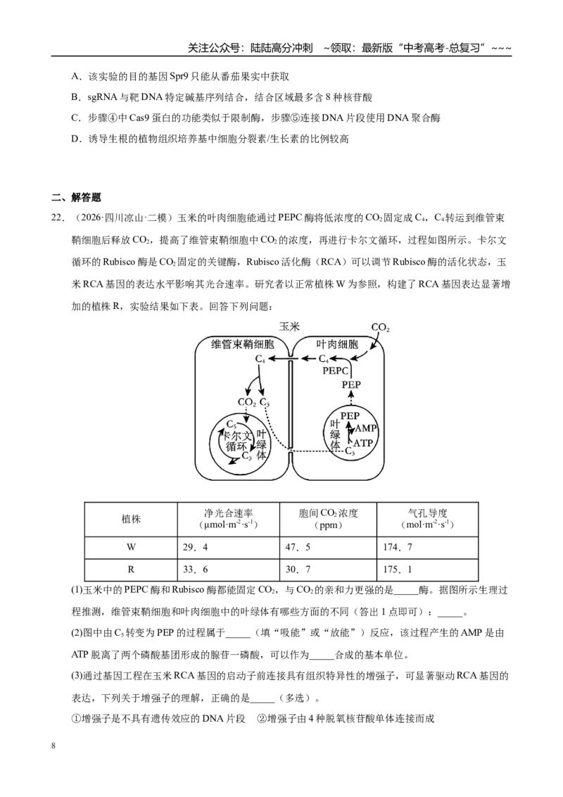 《专题10基因工程（1大考点）（学生版）_06-生物-高考总复习_专项复习_2026年-生物高考专项复习_2026年高考生物二模试题分类汇编（四川专用）-G282_2026版》第8页预览