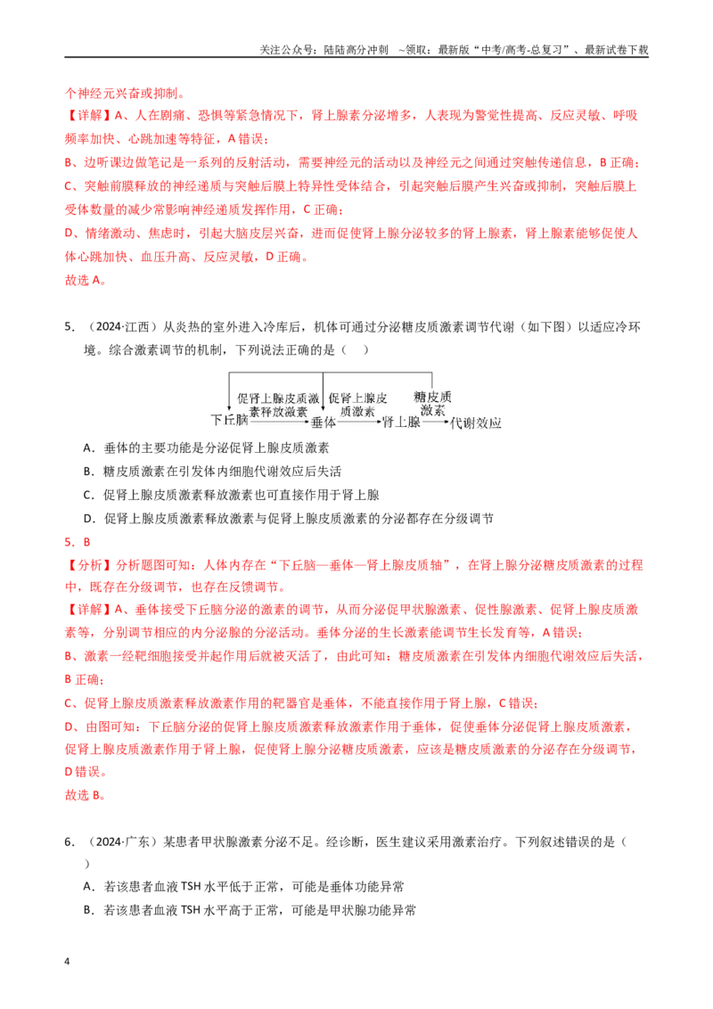 《专题11体液调节（解析版）_06-生物-高考总复习_专项复习_2025年_五年2020-2024高考真题分类汇编生物真题分类汇编（全国通用）》第4页预览